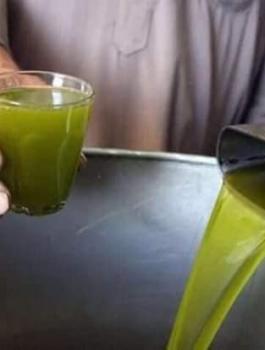 موسم الزيتون في فلسطين 2018 