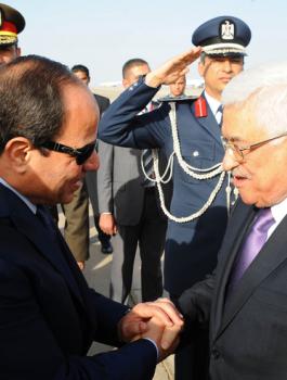 عباس سيسي