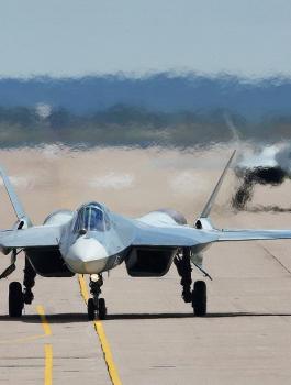 سلاح الجو الروسي 