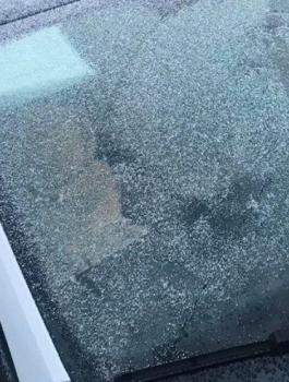 84521960-10221203574582830-6492524554659823616-o-1581314937