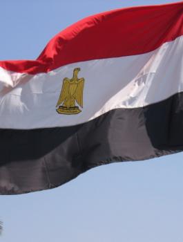 مصر والقضية الفلسطينية 