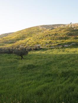 حالة الطقس