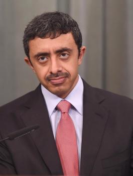 وزير خارجية الامارات وشيخ الازهر 