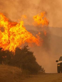 الحرائق في كاليفورنيا 