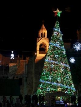 شجرة الميلاد في بيت لحم 