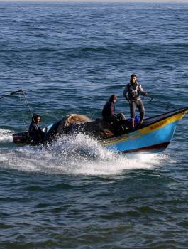 زوارق الصيادين الفلسطينيين 