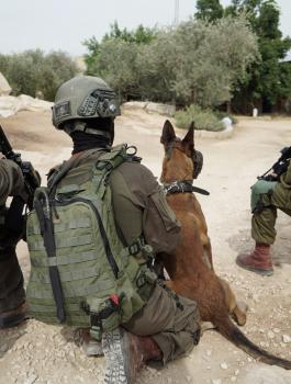 منفذ عملية اركان 