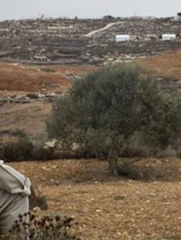 الاستيلاء على اراضي المواطنين في بلدة الزاوية 