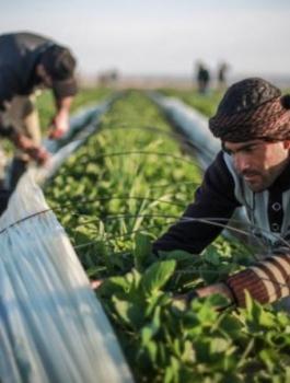 04106274254297801218326313288013