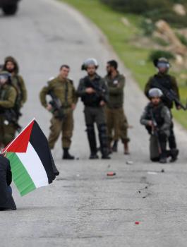 فعاليات ضد الضم في الاغوار 