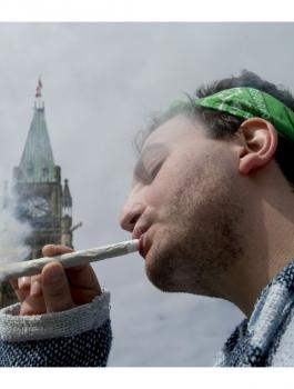 كندا والماريغوانا والحشيش 