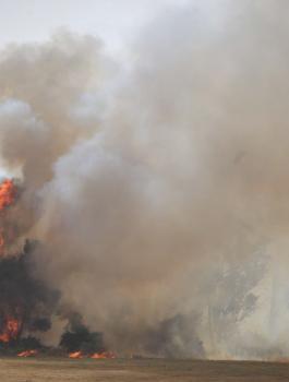 حرائق في الضفة الغربية 