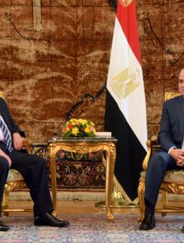 عباس السيسي 