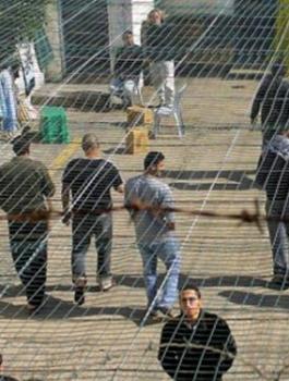 اسرى المؤبدات في سجون الاحتلال 