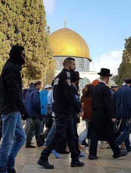 مستوطنون يقتحمون الأقصى