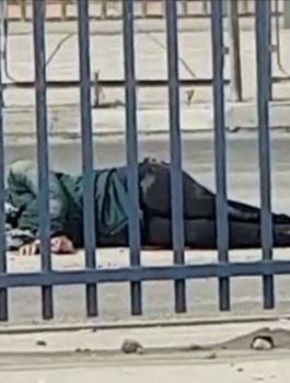 اطلاق النار على فتاة على حاجز قلنديا 