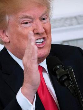 ترامب وعملية السلام 