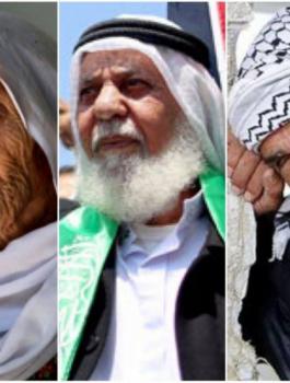 نسبة المسنون في فلسطين 