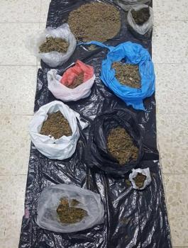 ضبط مخدرات في جنين