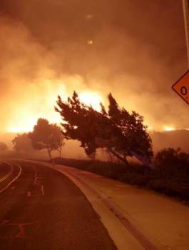 حرائق في ولاية كاليفورنيا 