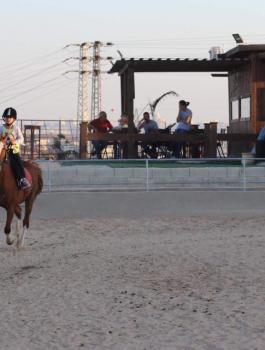 الاحتلال يخطر بوقف العمل في ناد للفروسية في قلنديا