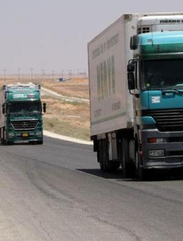 منع تصدير خضروات اردنية الى قطر 