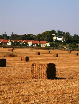 صفارات إنذار كاذبة تدوي في مستوطنات جنوب غزة