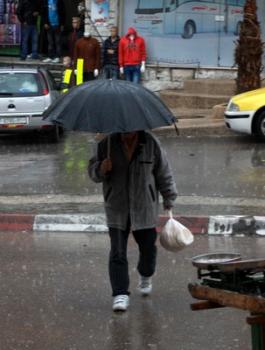 كمية الامطار في فلسطين 