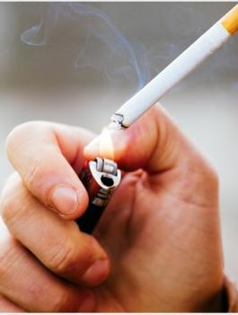 شركات السجائر 