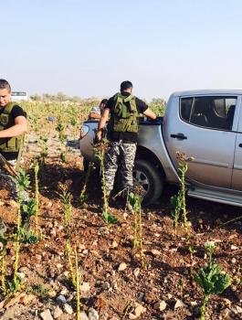 ضبط مواد فاسدة ومنتهية الصلاحية في جنين 