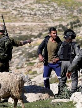 image_750x_5e9714d0a737f