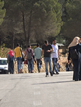 البطالة في فلسطين 