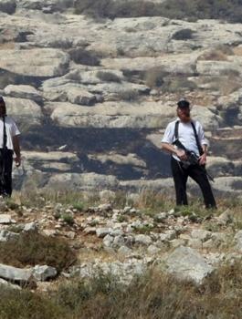 المستوطنون يستولون على 30 دونم جنوب نابلس ويشقون طريقاً استيطانياً