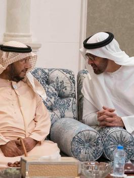 الشيخ سلطان بن زايد آل نهيان 