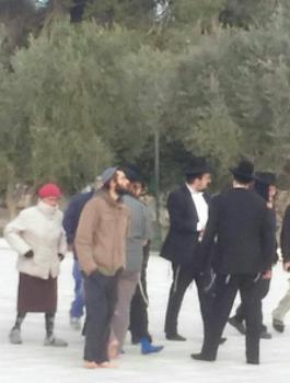 اقتحامات المسجد الأقصى 