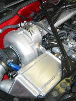 ة تعود للحياة بعد شربها من ماء "الروديتر" السيارة