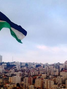 المانيا وفلسطين والاستيطان 