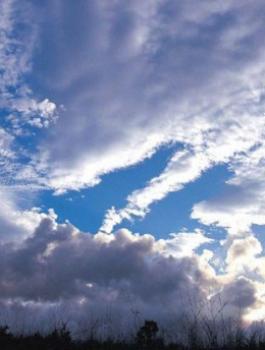 aacbe46a749b1a9c0b5168aadbf628bf