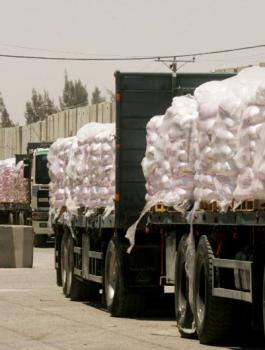 7521fc8e715778b092b5ab470f12a3ab