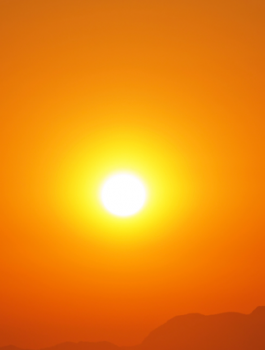 sunhed