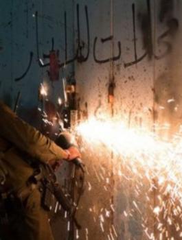 مصادرة عدة حدادة في كفر الديك 