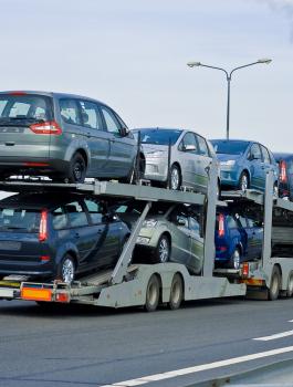 الحكومة تقرر منع استيراد السيارات من خارج فلسطين 