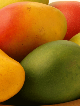 فوائد المانجا 