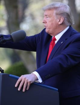 ترامب واميركا والانتخابات 