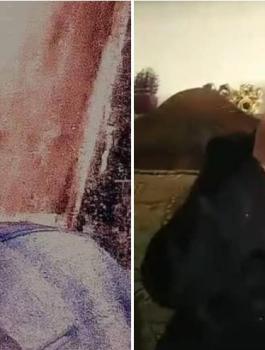 الشهيد محمد الريماوي 