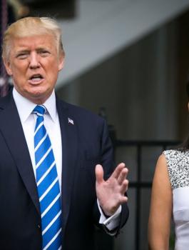 عريقات وهايلي 