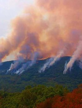 الحكومة الفلسطينية تبدي استعداداها للمشاركة في إطفاء حرائق تونس
