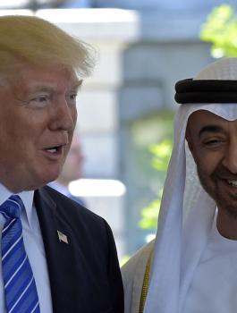محمد بن زايد: قرار ترامب طوق نجاة للجماعات المتشددة!