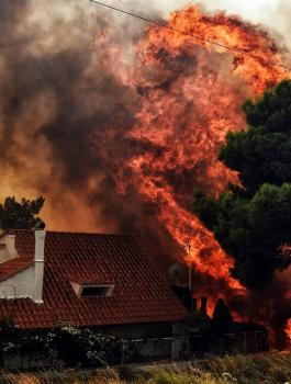 بوتين والحرائق في اليونان 