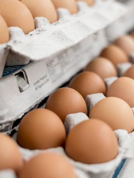 السالمونيلا في اميركا 